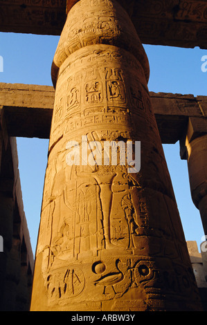 Eine der 102 Spalten in die große Säulenhalle, Tempel von Karnac, Karnac, Ägypten, Nordafrika Stockfoto