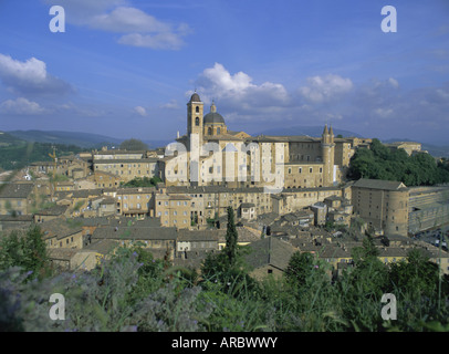 Stadt gesehen von Norden mit Dom (links) und Palazzo Ducale (rechts), Urbino, Marken, Italien, Europa Stockfoto