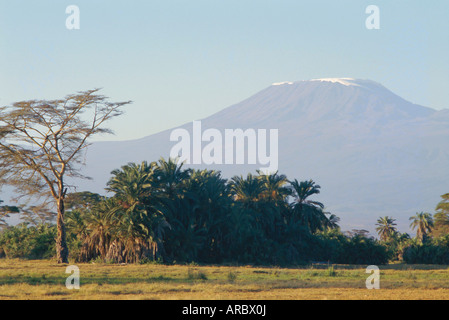 Mt. Kilimanjaro, Amboseli, Kenia, Afrika Stockfoto