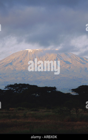 Mt. Kilimanjaro, Kibo-Gipfel aus Kenia Seite, Kenia, Afrika Stockfoto