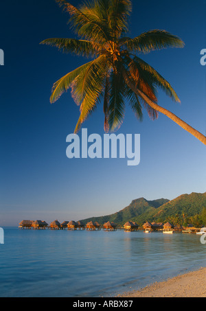Strandhütten und Küste Französisch-Polynesien Tahiti Moorea Stockfoto