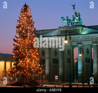 Berlin Weihnachtsbaum vor dem Brandenburger Tor Stockfoto