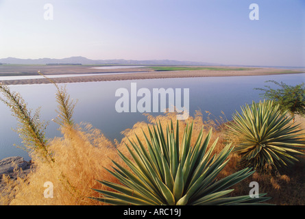 Der Irrawaddy-Fluss in Bagan (Pagan), Myanmar (Burma), Asien Stockfoto