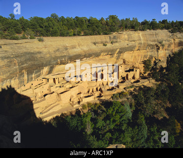 Cliff Dwellings, Cliff Palace, Mesa Verde, Mesa Verde Nationalpark, Colorado, USA, Nordamerika Stockfoto