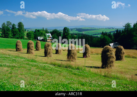 Typische polnische Landschaft in der Nähe von Zacopane, hohe Tatra, Polen, Europa Stockfoto