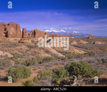 Der Windows-Sektion, Arches National Park und La Sal Mountains, Utah, USA, Nordamerika Stockfoto
