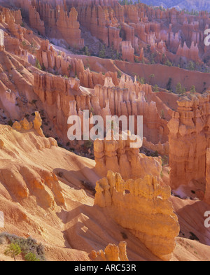 Rock Hoodoos von Sunset Point, Bryce-Canyon-Nationalpark, Utah, USA, Nordamerika Stockfoto