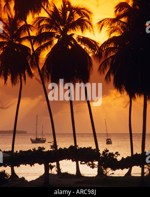 Mount Irvine Bay, Tobago, Karibik, West Indies Stockfoto