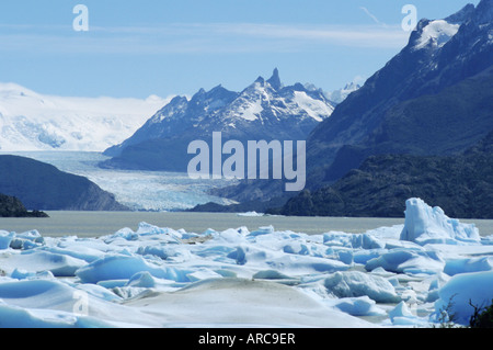 Grey Gletscher, Torres del Paine Nationalpark, Chile, Südamerika Stockfoto