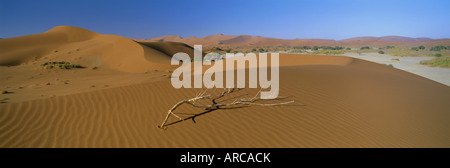 Panoramablick über die Dünen, Sossusvlei, Namib-Naukluft-Park, Namib-Wüste, Namibia, Afrika Stockfoto