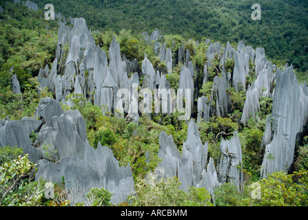 Kalkstein Pinnacles auf Mount Api, Gunung Mulu National Park, Sarawak, Insel von Borneo, Malaysia, Asien Stockfoto