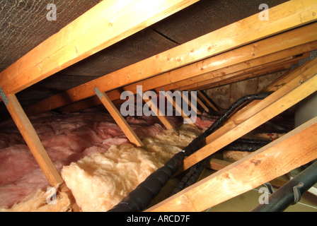 Inländische Wohnung loft Raum mit geringer Dachneigung zeigt Holz-Dachbinder Fiberglas Isolierung und hinterher pfeifen Stockfoto