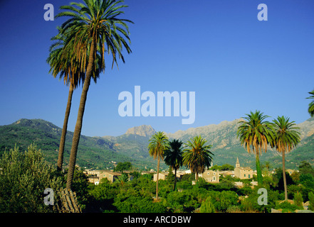 Puerto Pollensa, Mallorca (Mallorca), Balearen, Spanien, Europa Stockfoto