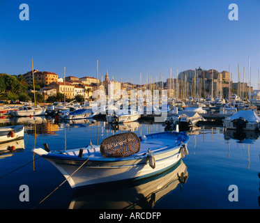 Blick über Hafen, Stadt und Zitadelle, Calvi, Korsika, Frankreich, Europa Stockfoto