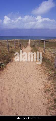 Weg durch die Dünen zwischen Bretignolles-Sur-Mer und Brem führt zu kilometerlangen goldenen Sand Vendee Frankreich keine 2400 Stockfoto