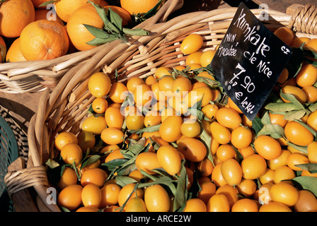 Kumquats für Verkauf auf dem Markt in Cours Saleya, Nizza, Alpes Maritimes, Provence, Côte d ' Azur, Frankreich Stockfoto