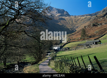 Blick entlang der Straße zum Bauernhof, mit Harrison scheut überragt, Great Langdale, Nationalpark Lake District, Cumbria, England, UK Stockfoto