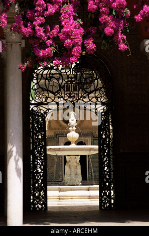 Blick durch schmiedeeiserne Tor zum Patio Principal und Bougainvillea, Casa de Pilatos, Sevilla, Andalusien, Spanien Stockfoto