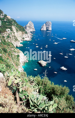 Blick über die Südküste zu den Faraglioni-Felsen, Insel Capri, Kampanien, Italien, Mittelmeer, Europa Stockfoto