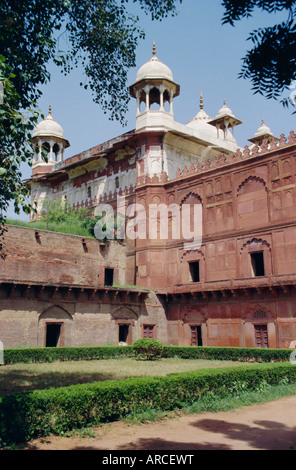 Moti Masjid (1646-53), Perle Moschee von Shah Jehan (Jahan) erbaut, das Rote Fort, Agra, Uttar Pradesh, Indien Stockfoto