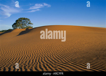 Perry Sandhills in der Nähe von Wentworth, New South Wales, Australien Stockfoto