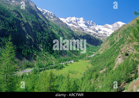 Nationalpark Gran Paradiso, Valnontey Tal in der Nähe von Cogne, Valle d ' Aosta, Italien Stockfoto