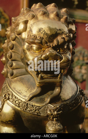 Nahaufnahme der Löwe aus Bronze Statue, Verbotene Stadt, Peking, China, Asien Stockfoto