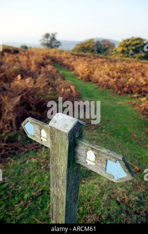 Ein Wanderweg-Wegweiser auf der Offa s Dyke Pfad an der Englisch-walisischen Grenze im Vereinigten Königreich Stockfoto