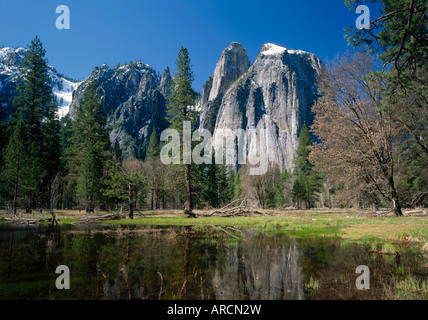 Lake reflecting trees and the Cathedral Rocks in the Yosemite National Park, California, USA Stockfoto