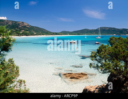 Palombaggia Beach, Porto-Vecchio, Korsika (Frankreich) Stockfoto