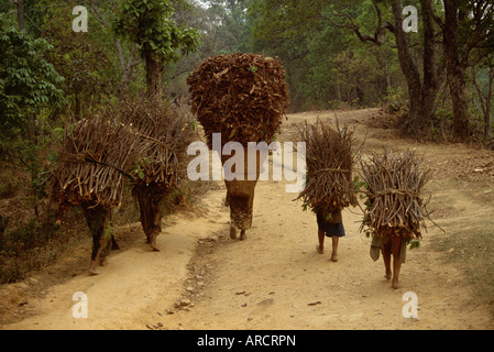 Frauen und Kinder zu Fuß auf einer Landstraße mit Bündeln von Brennholz, Chautara, nördlich von Kathmandu, Nepal, Asien Stockfoto