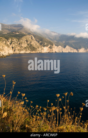 Samenköpfe, Assos, Kefalonia (Cephalonia), Griechenland, Europa Stockfoto