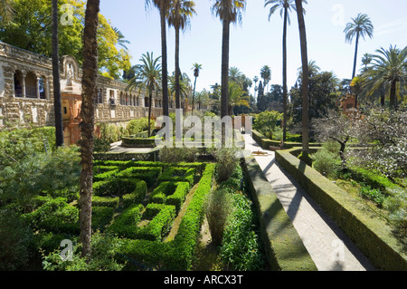 Die Gärten des Real Alcazar, Viertel Santa Cruz, Sevilla, Andalusien (Andalusien), Spanien, Europa Stockfoto