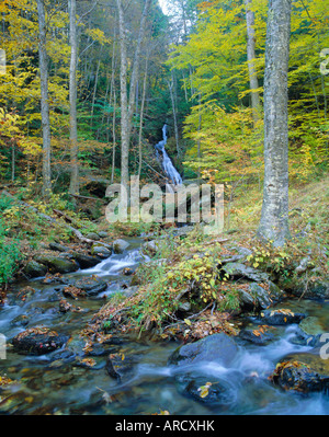 Moss Glen Falls, Green Mountain National Forest, Vermont, USA Stockfoto