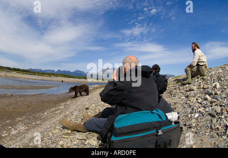 Braunbär, Ursos Arctos mit Touristen auf der Suche auf Katmai, Alaska, USA Stockfoto