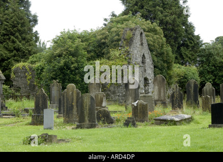 St. Marys Church of Ireland Medicant der Carmes Ruine Drogheda Co Louth Www Osheaphotography com Stockfoto