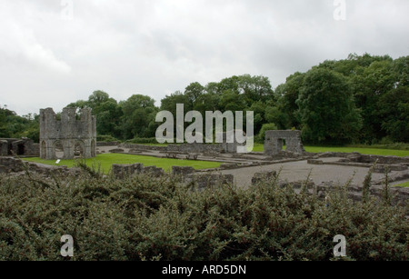 Old Mellifont Abbey Drogheda Co Louth Www Osheaphotography com Stockfoto