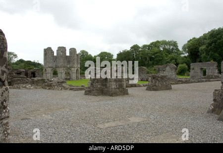 Old Mellifont Abbey Drogheda Co Louth Www Osheaphotography com Stockfoto