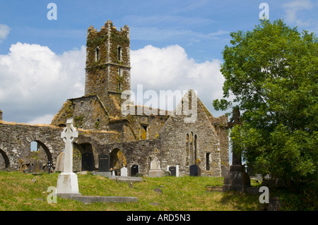 Süd-West Irland West Cork Timoleague Abbey Stockfoto