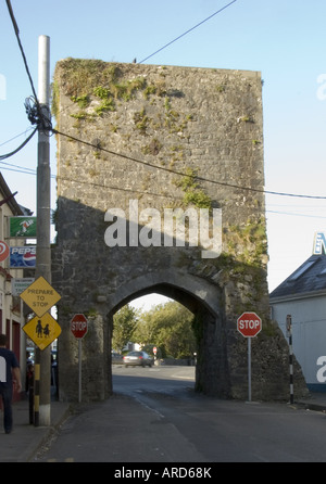 Swan Tor Athenry Co Galway Www Osheaphotography com Stockfoto