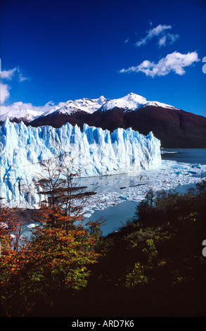Perito Moreno Gletscher, Parque Nacional Los Glaciares, Patagonien, Argentinien. Stockfoto