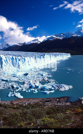 Perito Moreno Gletscher, Parque Nacional Los Glaciares, Patagonien, Argentinien. Stockfoto