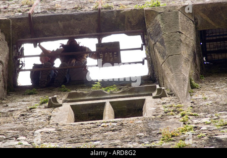 Süd-west Irland West Cork Blarney Castle küsst den Blarney Stone einen Blick von unten schier Höhenunterschied Stockfoto