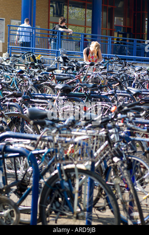 Fahrräder in der Universitätsstadt Oxford UK, wo Fahrräder die wichtigsten Transportmittel für Studenten sind Stockfoto