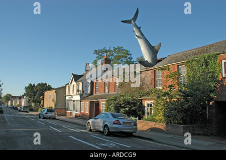 Der Headington Hai Stockfoto