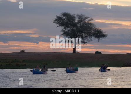 Touristen genießen die einzigartige und spektakuläre Erfahrung einer Kanu-Safari auf dem Zambezi River, Simbabwe. Stockfoto