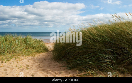 Ein Sandweg führt durch Dünengebieten Grass in Richtung Meer am Strand von Embleton, Northumberland, UK Stockfoto