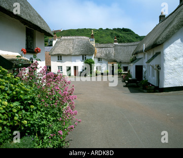 strohgedeckten Hütten innere Hoffnung Süd Schinken South Devon Süd-west england Stockfoto