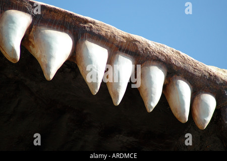 Die Welt s größte Dinosuar Replica steht Mugabes in Drumheller, Alberta Kanada Stockfoto