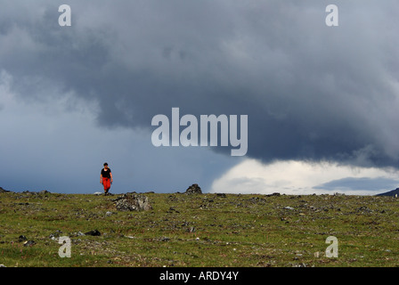 Wanderer auf Primrose Ridge, Regenwolken, Denali-Nationalpark, Alaska Stockfoto